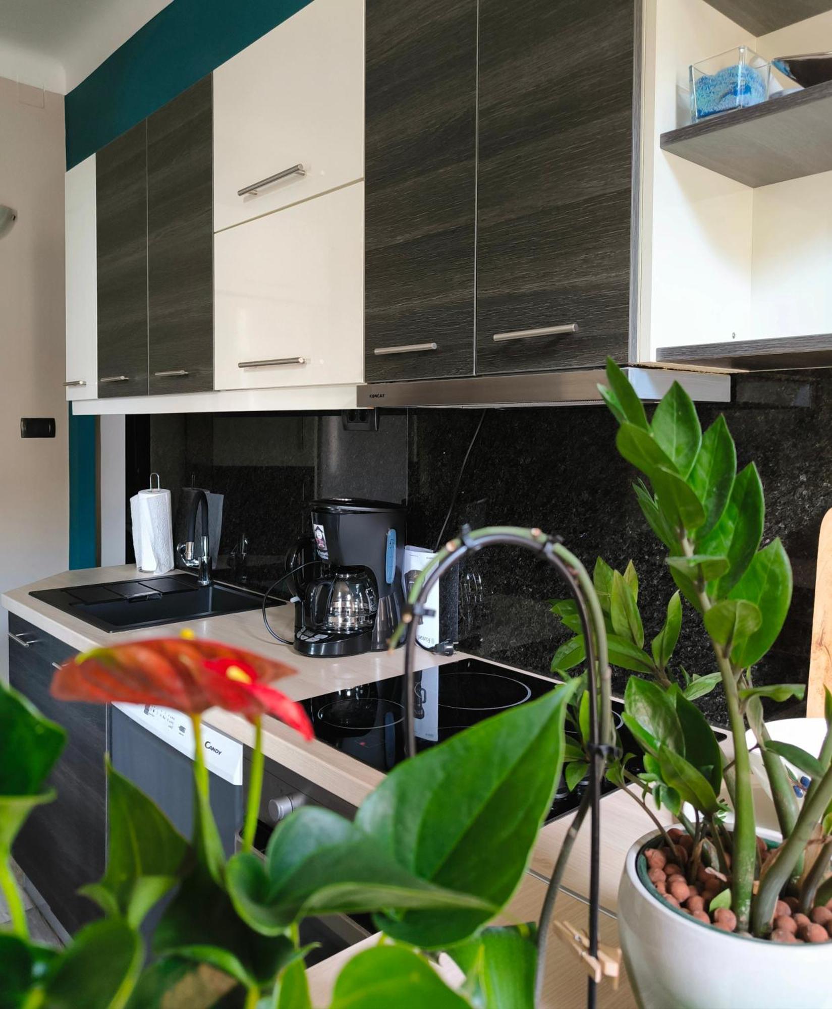 Urban Villa Apartment オパティヤ エクステリア 写真